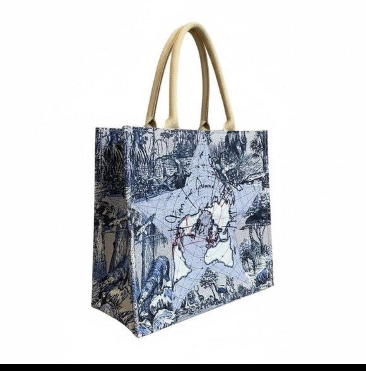 Dior Around The World Tote