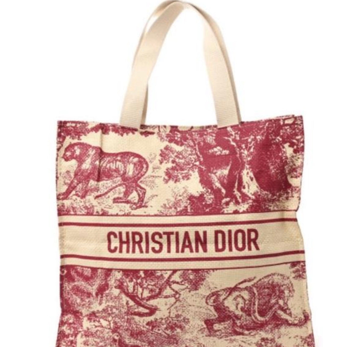 Dior Red Tote Bag