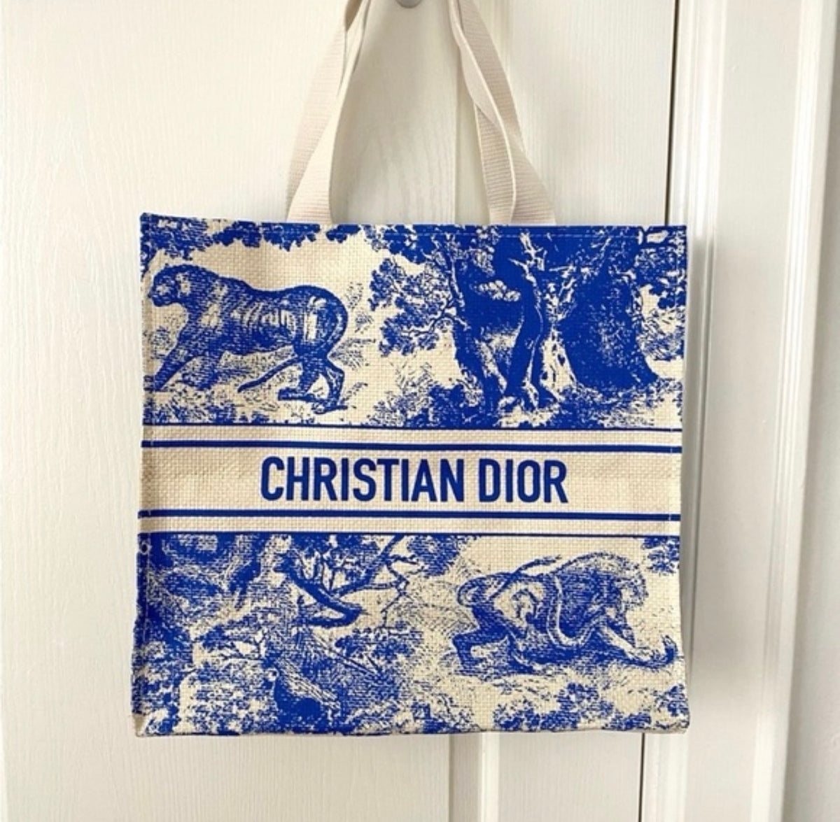 Dior Royal Blue Tote Bag