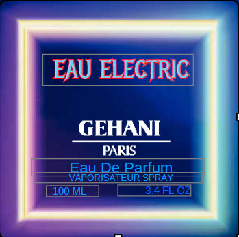 Gehani Eau Electric 3.4 EDP spray perfume by Gehani Paris