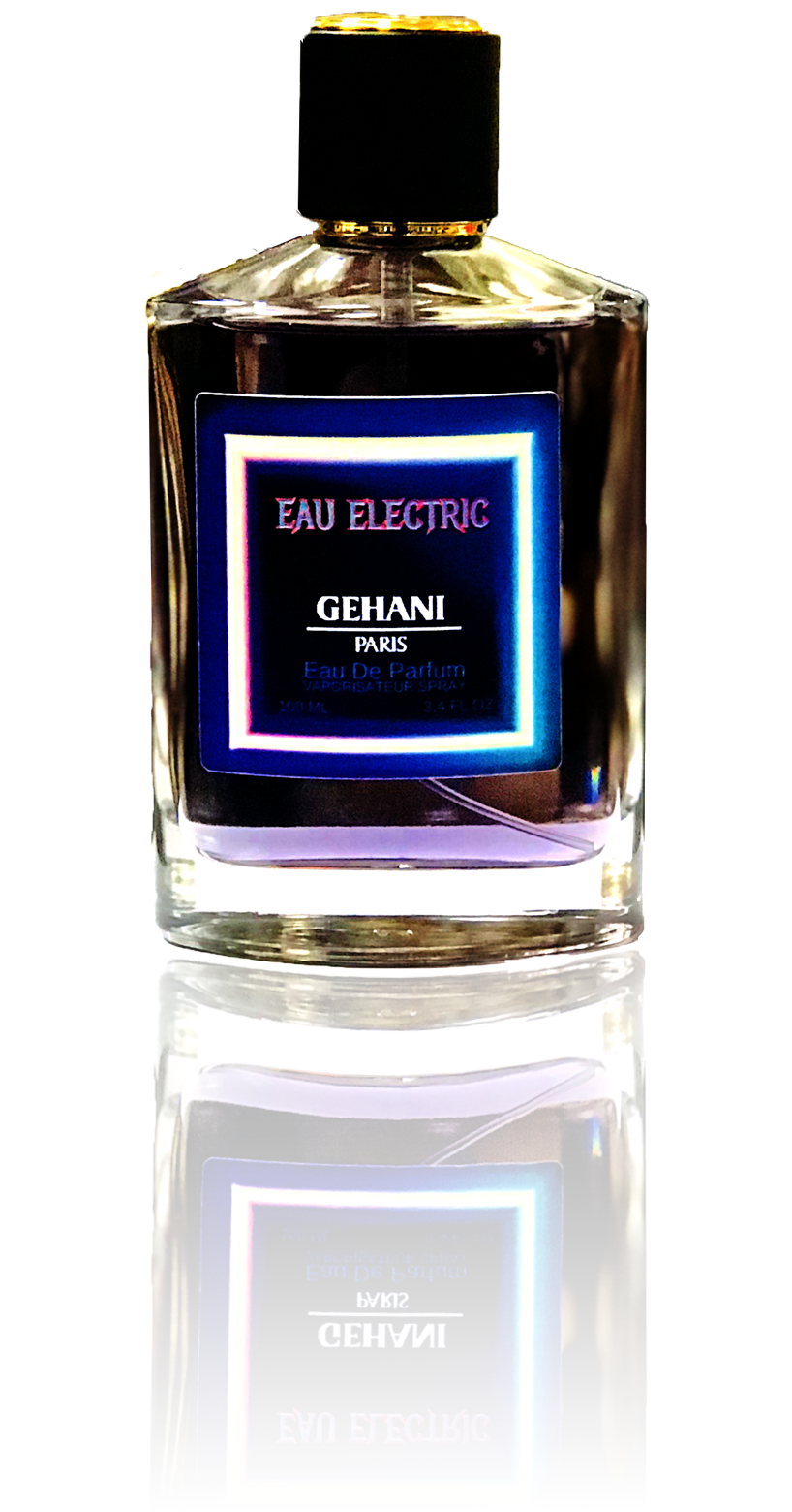 Gehani Eau Electric 3.4 EDP spray perfume by Gehani Paris
